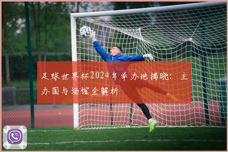 足球世界杯2024年举办地揭晓：主办国与场馆全解析