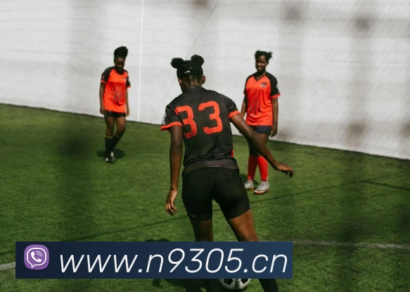 多媒体互动体验